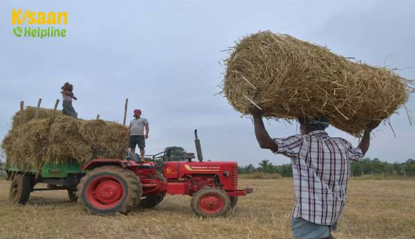 बजट में कृषि ऋण लक्ष्य को लगभग 19 लाख करोड़ रुपये तक बढ़ाया जा सकता है